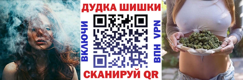 как найти   Ессентукская  мега сайт  Бошки марихуана план 